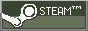 Steam